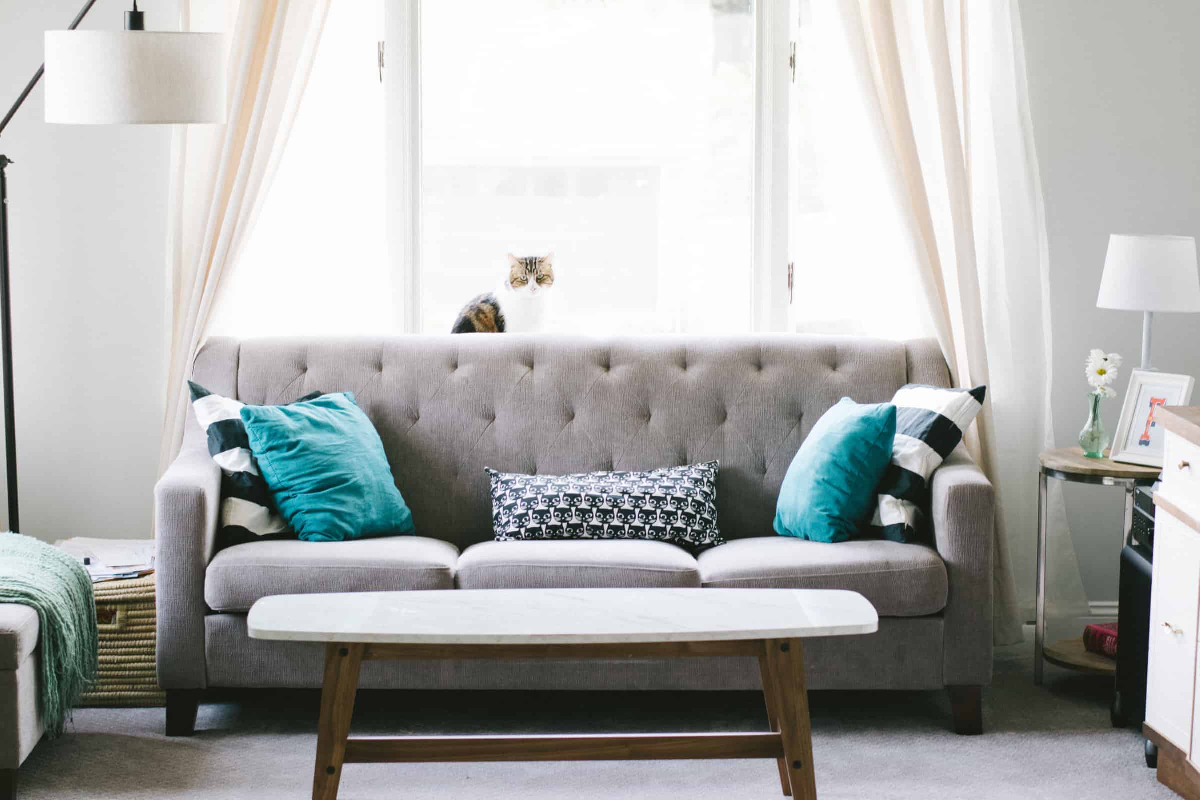 sofa-green-kushans-jpg1571901568.jpg